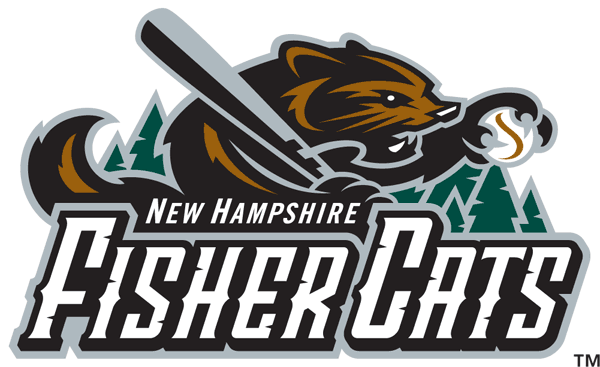 New Hampshire Fisher Cats 2004-2007 Primary Logo iron on heat transfer
